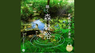 井の頭恩賜公園 神田川源流 -水門橋付近の川音-