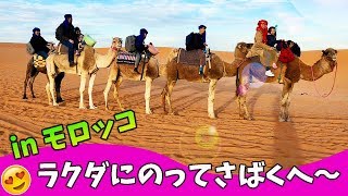 ６兄妹密着inモロッコ🇲🇦ラクダって楽なの？😂大みそかにラクダにのってさばくへ