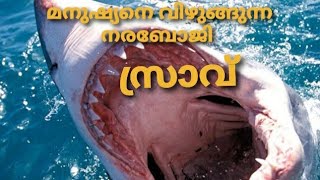 മനുഷ്യനെ വിഴുങ്ങുന്ന നരബോജി സ്രാവ് (man-eating shark )