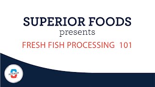 Fresh Fish Processing 101