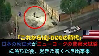 「これからはJ-DOGの時代」 日本の秋田犬がニューヨークの警察犬試験 に落ちた後、起きた驚くべき出来事