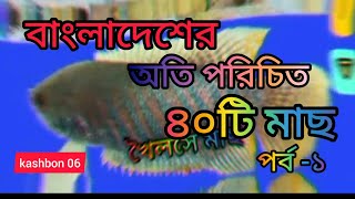 বাংলাদেশের অতি পরিচিত ৪০টি মাছ। River।Fish# মাছের নাম #গুড়া মাছ #kashbon 06