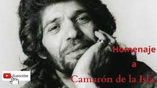 Homenaje a Camarón de la Isla Flamenco | Pablo Miguel Redondo