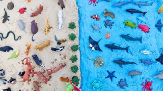 Ocean and Land Animals Toys! Learn Animal Names | Whales, Sharks, Penguins, Deers, Bear, Rhino