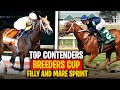 Top Contenders for Breeders' Cup Filly & Mare Sprint 2024!