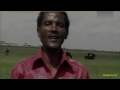 xannaa zamalak bareedduu harar oromo music