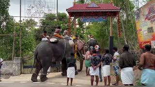 Pooram | Kizhur Kalikavu Pooram | Elephant Procession