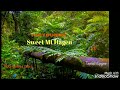 sweet mt hagen 2005 cover version yap youngs band