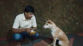 പ്രണയം ഒരു മായ..പക്ഷെ സ്നേഹം 100% സത്യം ആണ്☝️🐕 ഭാഗം രണ്ട്. CHIKKOO ❤️👌 സബ്സ്ക്രൈബ് ചെയ്യണേ