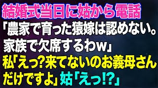 【スカッとする話】結婚式当日に姑から電話「農家で育った芋嫁は認めない。家族で欠席するわｗ」私「えっ？来てないのお義母さんだけですよ」→全てを知った姑は子供のように泣きはじめ…ｗ【修羅場】