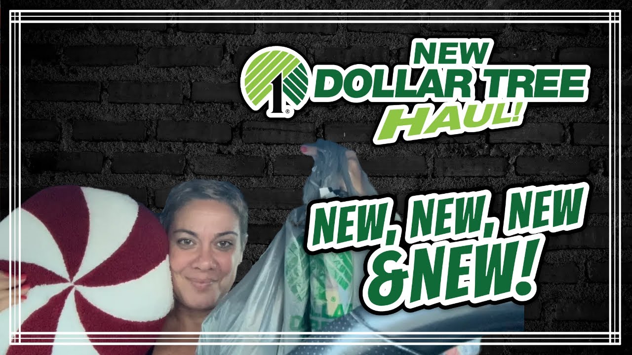 New Dollar Tree Haul With Some Extras 11 25 23 Youtube