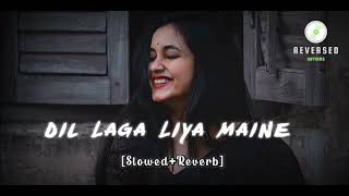 Dil Laga Liya Maine | Slowed Reverb | Lo-fi Song #slowreverb #lofi #uditnarayan #alkayagnik