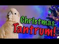 Max Throws An Epic Christmas Tantrum - Is Santa Watching? (subtitles)