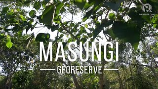 Adventure awaits at Masungi Georeserve