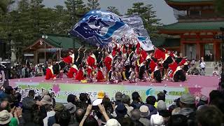 桜道里　in2019年春　京都さくらよさこい　岡崎公園演舞場