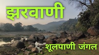 mathasar to Gora Colony | Zarwani Jungle | part2 | Narmada Parikrama |Shulpani jungle