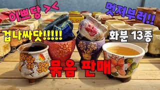 화분 정리!!! 가성비 죽이는 예쁜 화분들 묶음판매 다육이 화분!! [23.4.28] 저렴하게 드려요~~