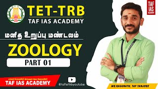 TET ,TRB |TRB - விலங்கியல்(ZOOLOGY)  | மனித உறுப்பு மண்டலம்(PART 01) | TET CLASS - 12TAF IAS ACADEMY