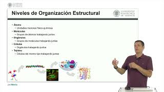 Niveles de Organización Estructural |  | UPV