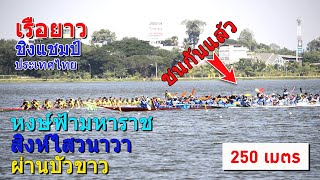 ขอบตลิ่งเรือยาว | สู้กัน 3 เที่ยว | ผ่านบัวขาว vs สิงห์ไสวนาวา vs หงษ์ฟ้ามหาราช | ระยะ 250 เมตร