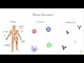 Introdução à Imunologia: Órgãos Linfoides Primários E Secundários; Células Do Sistema Imune.