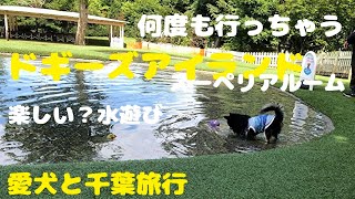 犬【千葉旅行】ドギーズアイランド【旅犬うに#25】2022