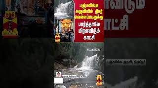 பஞ்சலிங்க அருவியில் திடீர் வெள்ளப்பெருக்கு - பார்த்தாலே மிரளவிடும் காட்சி