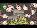 【マリオカート8dx】きのこが出るたびに増え続けるゆっくり霊夢さん ？ 【ゆっくり実況】