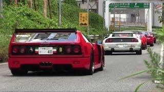 HD【大黒PA】フェラーリたくさん加速サウンド