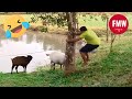 Funny & Hilarious People's Life 😂 #165 - Try not to Laugh | Best Funny Videos 2024