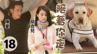 TVB勵志劇 | 陪著你走 18/20 |  陳豪(言重)回歸 為姚子羚(阮婉)自豪 | 陳豪、胡杏兒、姚子羚、張振朗、Range、林淑敏 | 粵語中字 | 導盲犬題材 | 2015