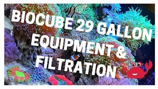 Equipment \u0026 Filtration - Biocube 29g Saltwater Aquarium