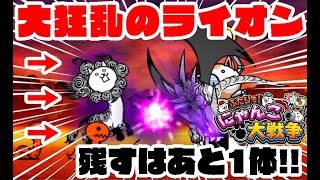 【Switch版実況】大狂乱のライオンをサクッと攻略！残すは後一つ！【ふたりでにゃんこ大戦争】