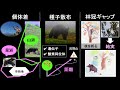 野生生物の声を社会に届ける生態学／長野大学 高橋 一秋 先生【夢ナビtalk】