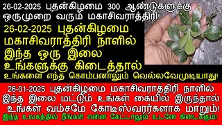 26-01-2025 புதன்கிழமை மகாசிவராத்திரி நாளில் இந்த ஒரு இலை உங்களை கோடீஸ்வரராக்கும்!|maha shivaratri