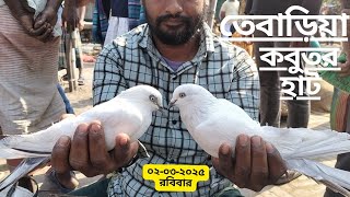 নাটোর তেবাড়িয়া কবুতর হাট | কবুতর হাটের ভিডিও  | pets vlog |