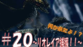 【MH4G実況】初心者ハンターが挑戦〜リオレイア捕獲？セルレギオス？〜【#20】