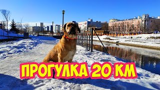 Прогулка 20 км  Октябрьский р н, Иваново