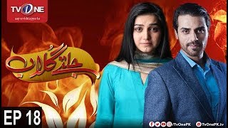 Jaltay Gulab | Episode 18 | TV One Drama | 27th November 2017