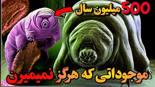 6 تا از موجودات جاودانه حیات وحش: تنها موجوداتی در جهان که نامیرا و جاودانه هستن