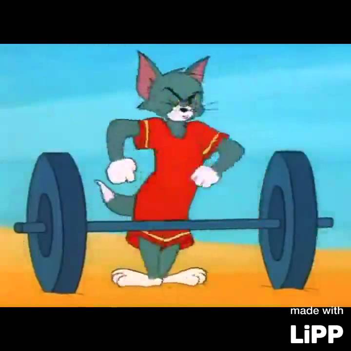 Tom And Jerry Gym Wallpaper At Pamela Cerda Blog