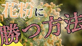 【打倒花粉症】この薬を味方に！花粉症攻略術！！