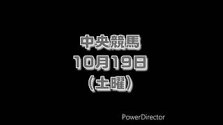 2024 10/19  土曜 中央競馬 仕込み #競馬 #中央競馬 #競馬予想 #shorts