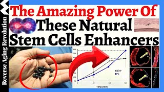 The Amazing Power of These NATURAL Stem Cells Enhancers!