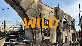 Video Journalists Viewing Altadena, Pacific Palisades Burned from the Eaton Fire, California Part 2