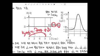 생명과학Ⅰ 15차시(흥분의 전도와 전달 기출 풀이)