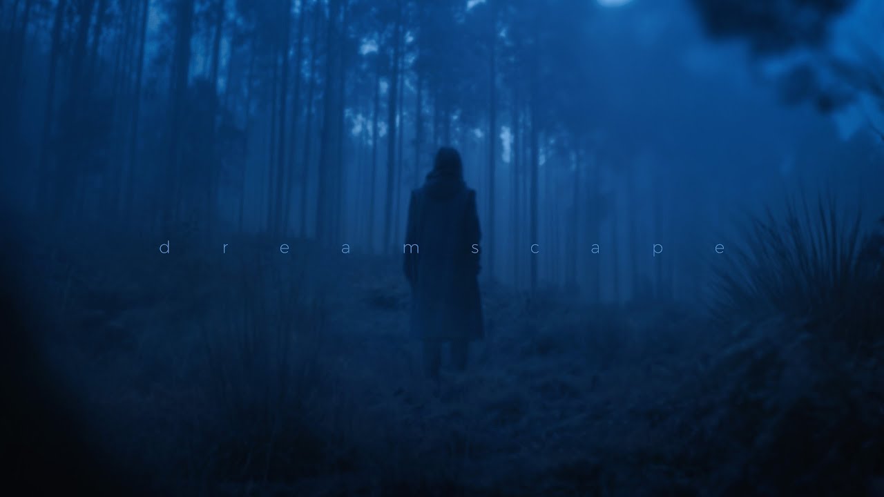 Unworn They Won T Leave Youtube Music