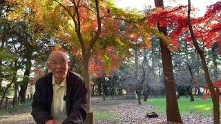 平林寺　紅葉❶ 重吉85歳　2024.12.3