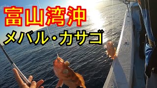 富山湾沖で船釣り