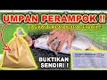 UMPAN JUARA TERSADIS !! RACIKAN UMPAN IKAN MAS TERJITU UNTUK LOMBA BABON & IKAN RAME ❗❗